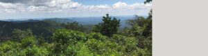 Photo of mountain vista from the Appalachian Trail near Wolf Laurel